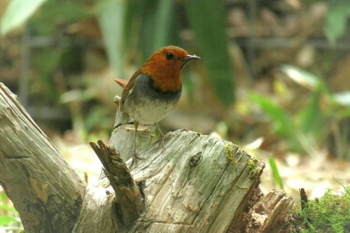 e0357387_07334602.jpg