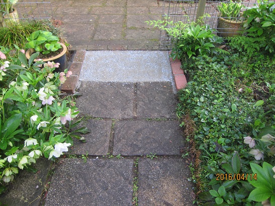 f0106692_7492094.jpg