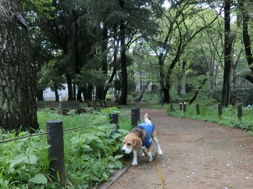 a0319693_23332599.jpg