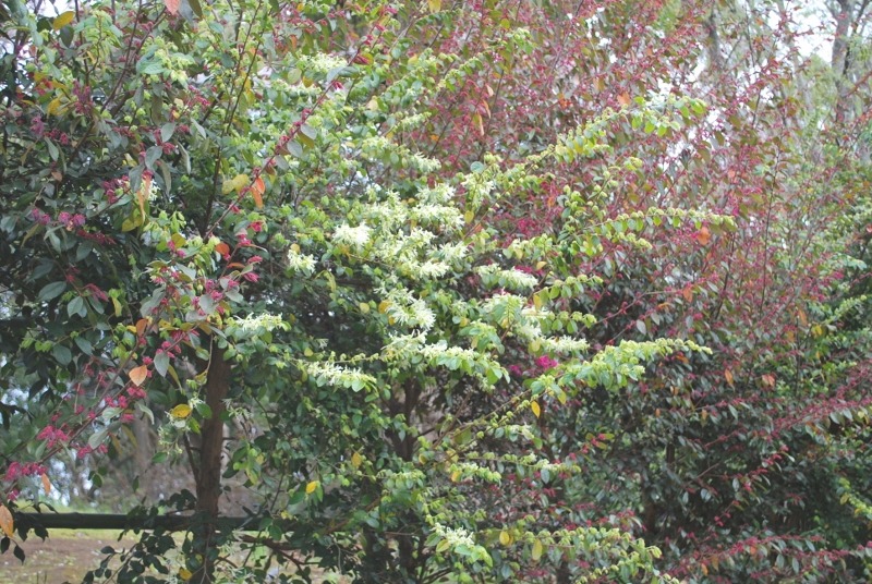 e0025300_2040263.jpg