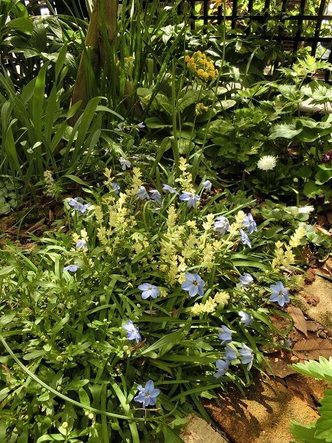 e0234004_20151469.jpg