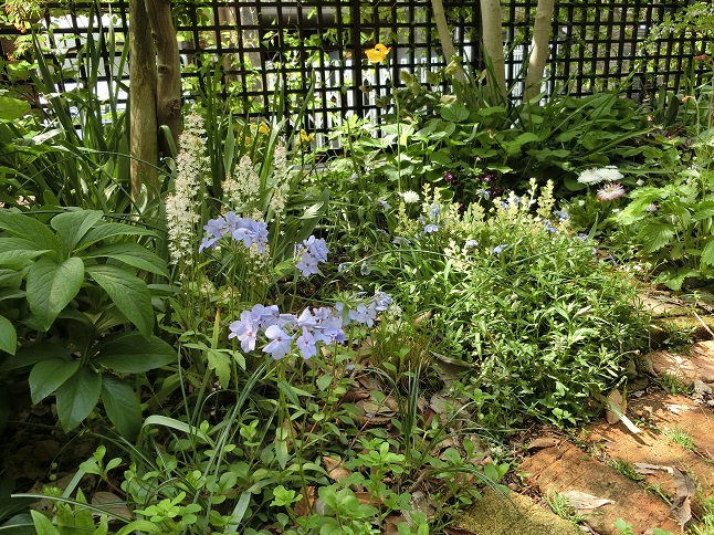 e0234004_20154493.jpg