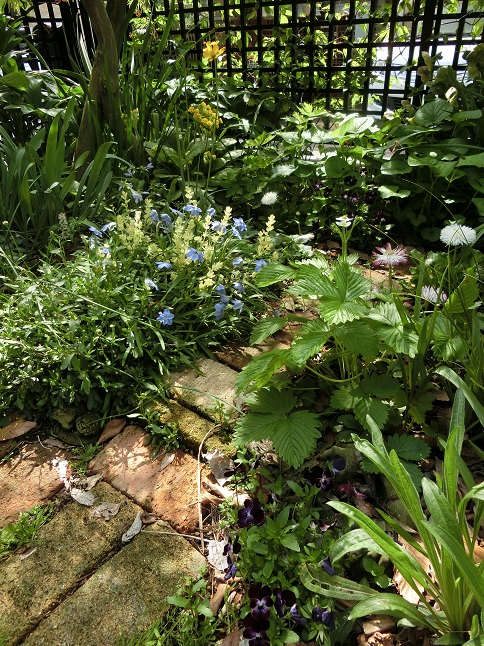 e0234004_2015630.jpg