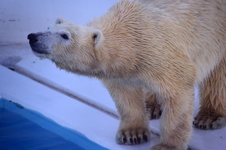 a0151913_092682.jpg