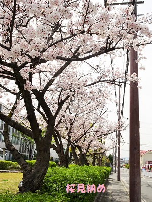 b0102728_108171.jpg