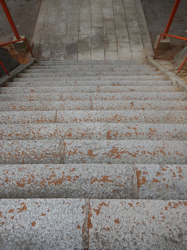 c0111229_191531.jpg