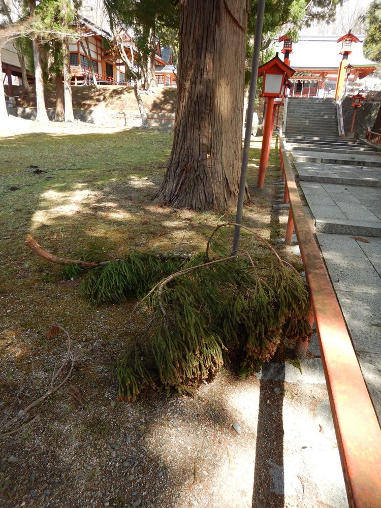 c0111229_192984.jpg