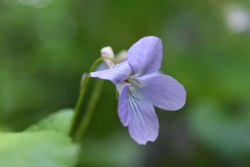 f0302638_15262715.jpg