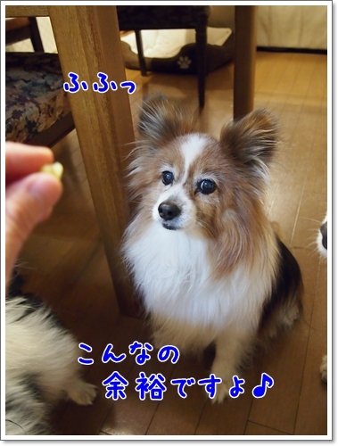 d0013149_00314340.jpg