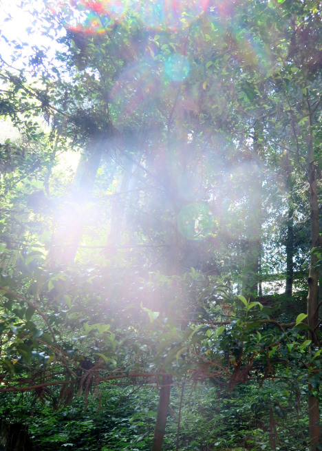 f0351853_04111023.jpg