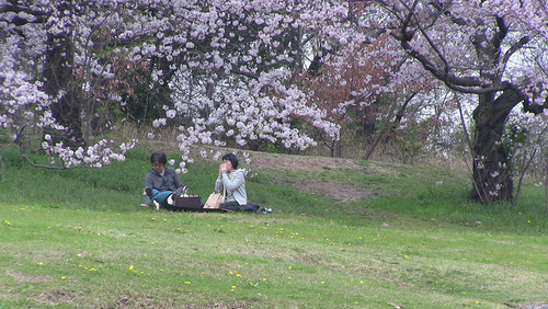a0208066_1857512.jpg