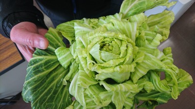 c0248067_9453741.jpg