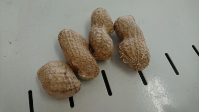 c0248067_9461382.jpg