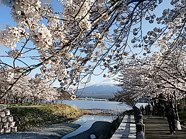 c0156371_11592029.jpg