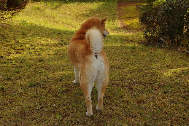 b0088173_904490.jpg