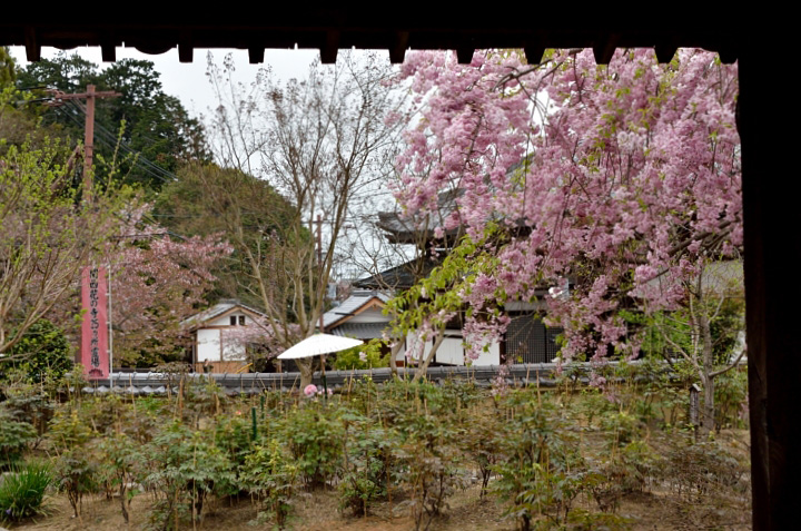 f0108478_18355249.jpg