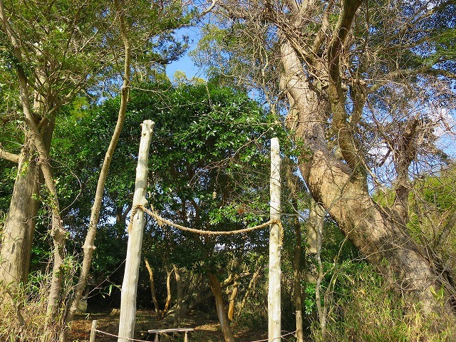 b0326483_21191905.jpg