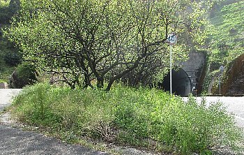 f0003283_15515723.jpg