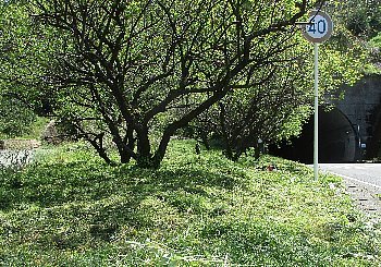 f0003283_15520261.jpg
