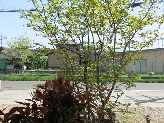 e0130185_1242238.jpg