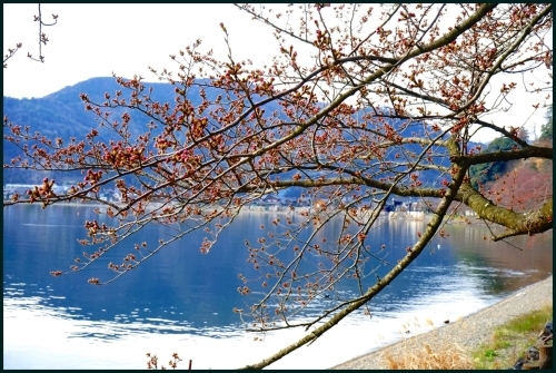 c0207890_13251467.jpg