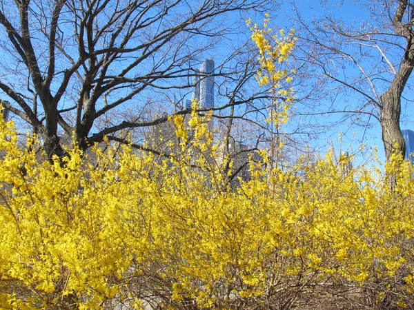 e0351091_2572872.jpg