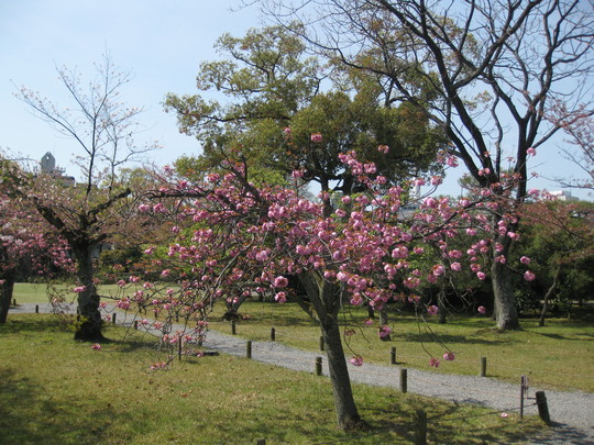 f0010195_23321358.jpg
