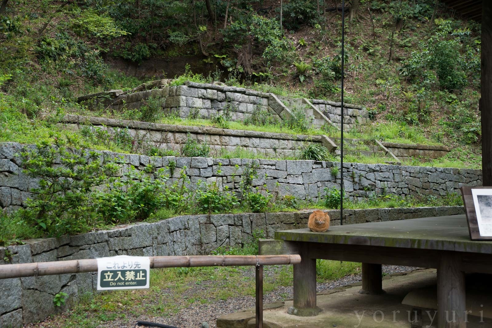 b0075797_22551520.jpg