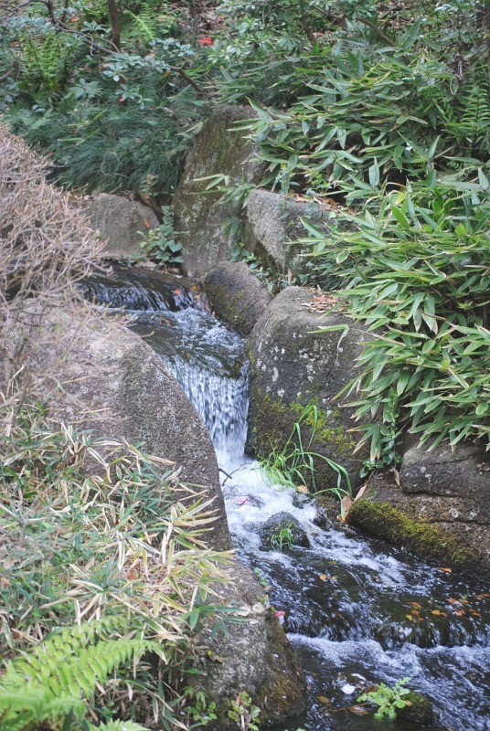 e0025300_18253926.jpg