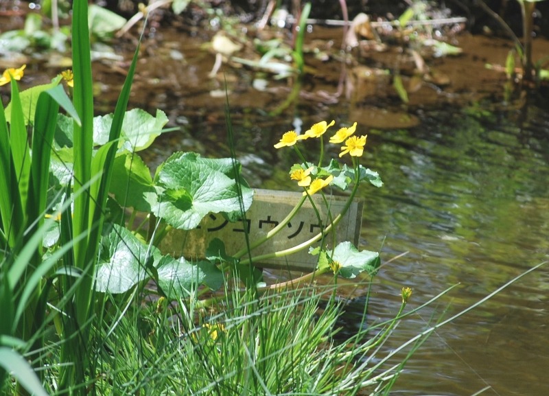 e0025300_18334340.jpg