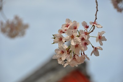 b0143308_22270823.jpg