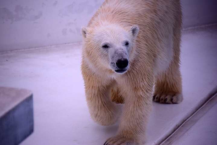 a0151913_4251168.jpg