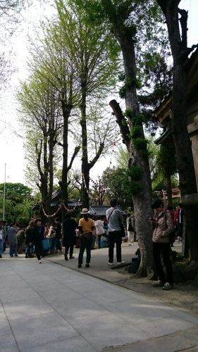 c0101913_22491673.jpg