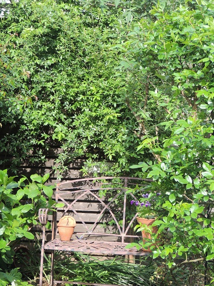 f0150620_8141519.jpg