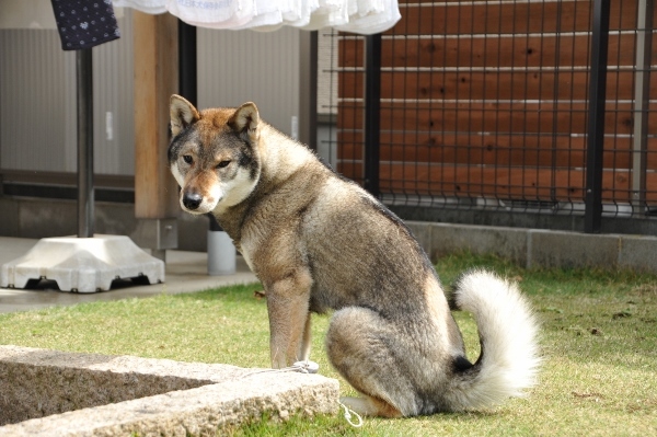 f0143123_10320540.jpg