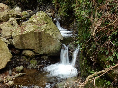 e0033229_18524956.jpg