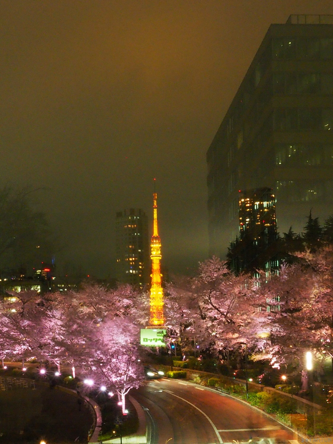c0133533_1435611.jpg