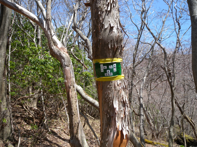 e0272335_16224149.jpg
