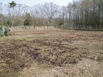 b0312438_16572859.jpg