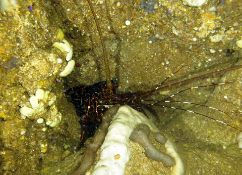 f0014842_15461564.jpg