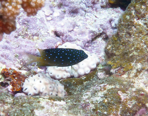 f0014842_15461583.jpg