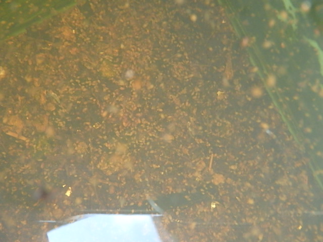 f0334143_20594432.jpg