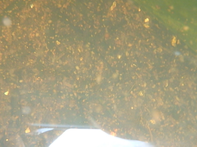 f0334143_20595459.jpg