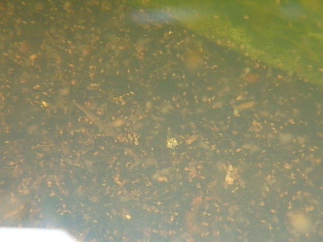 f0334143_210315.jpg