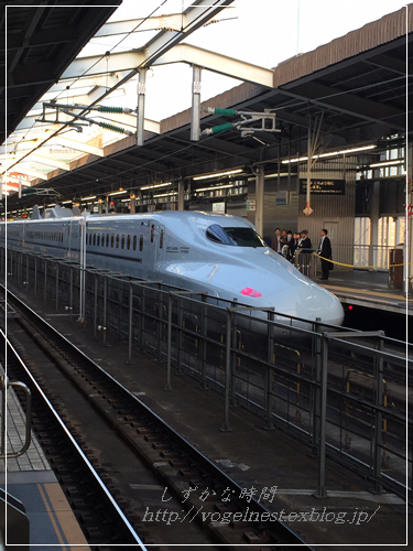a0341548_23395016.png