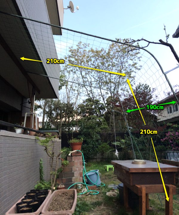c0063348_1726359.jpg