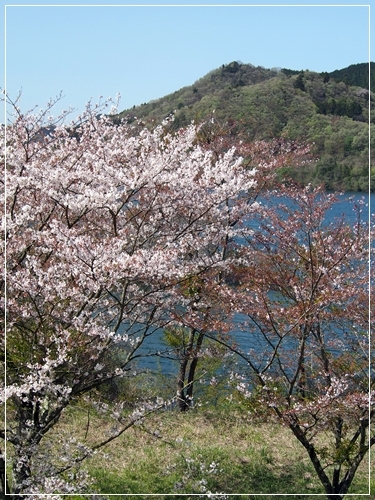 d0013149_00081680.jpg