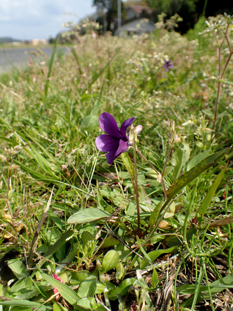 f0214649_6225014.jpg