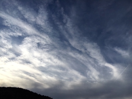 b0173754_14092694.jpg