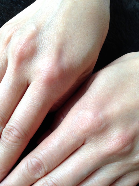 c0194065_7373030.jpg